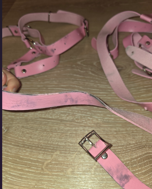 Wardrobe Clearance: Diner Outfit + Harness